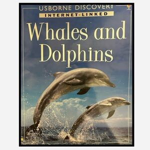 BUNDLE & SAVE🦈 Usborne Discovery Whales and Dolphins Softcover Book